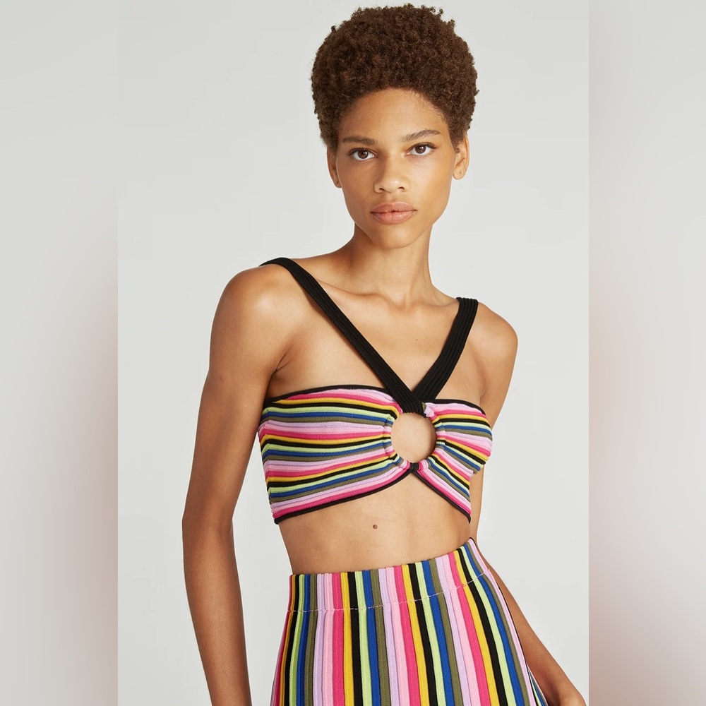 AMUR Haven Multicolor Stripe Knit Bra Top